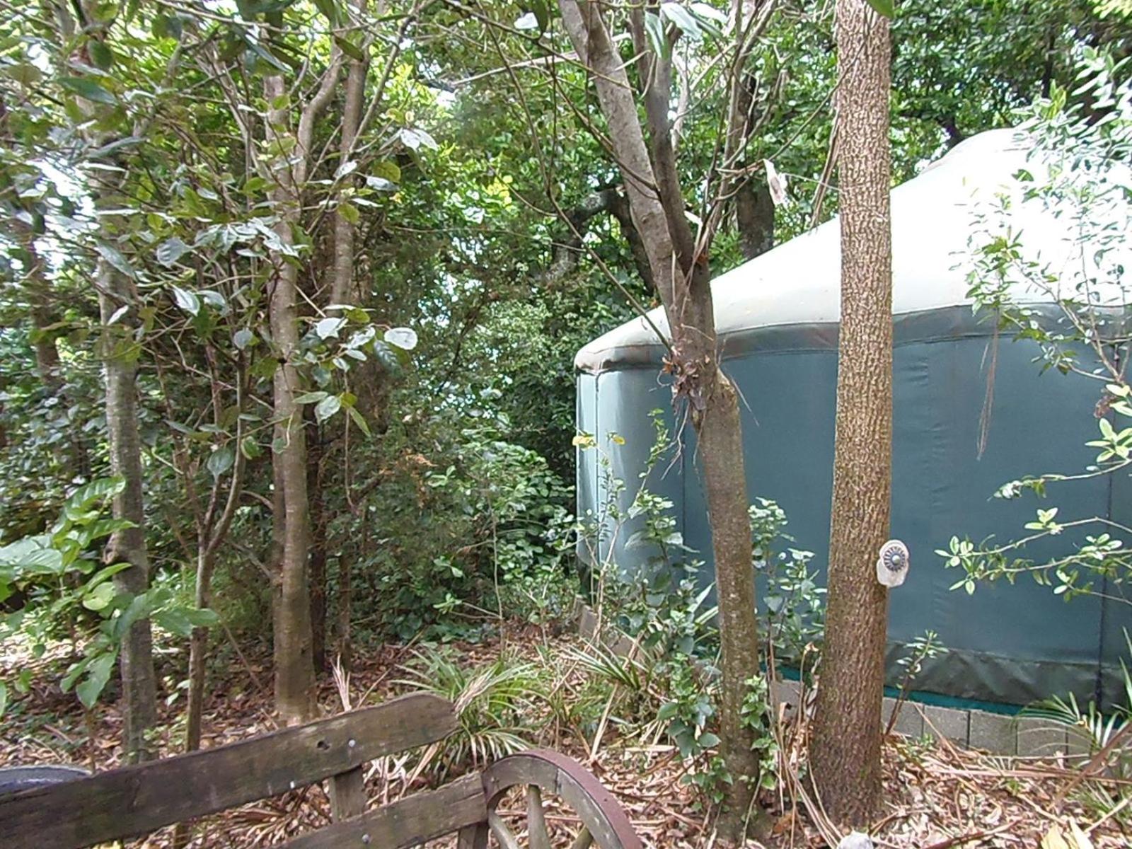 Nikau Sanctuary Hotel Raglan Buitenkant foto