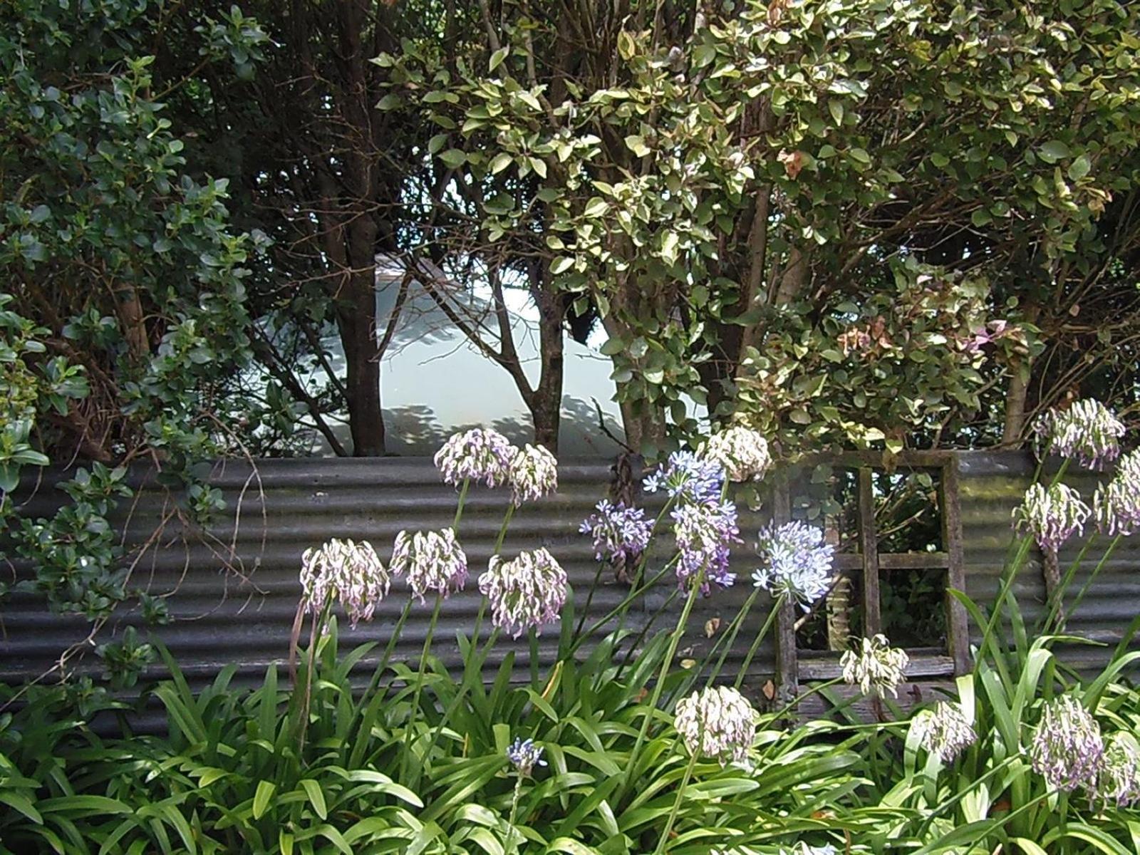 Nikau Sanctuary Hotel Raglan Buitenkant foto