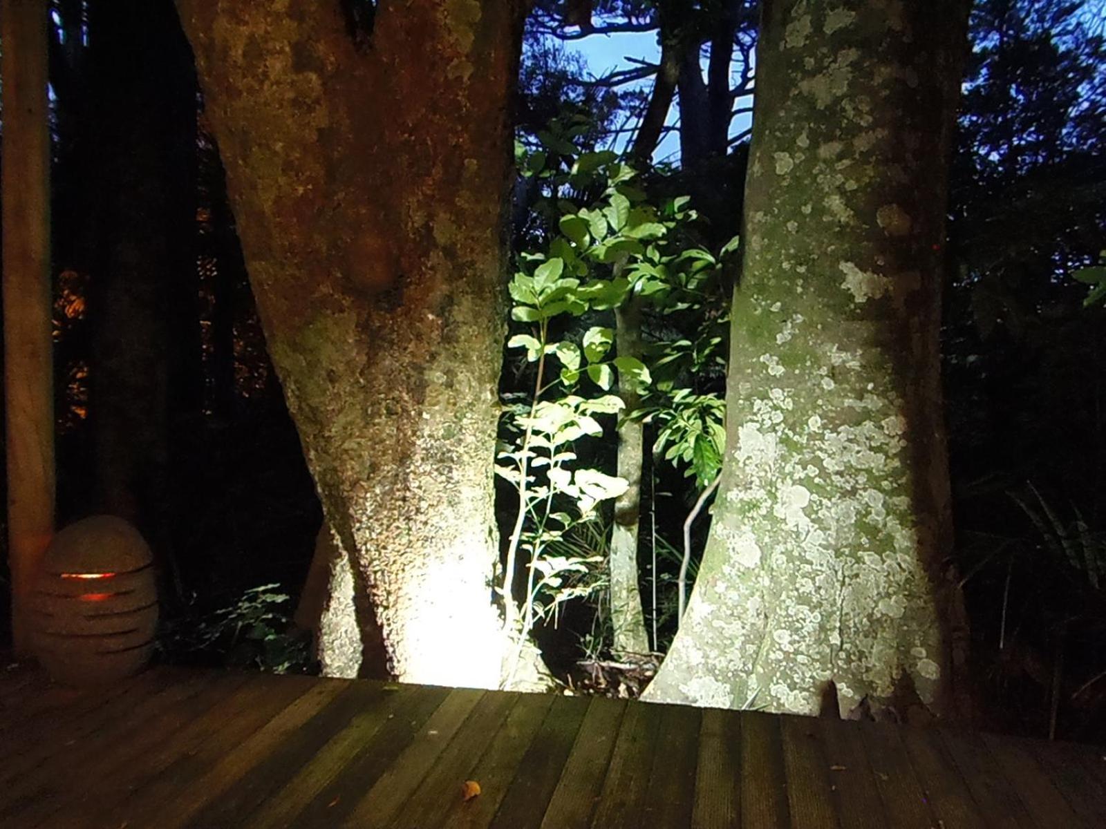 Nikau Sanctuary Hotel Raglan Buitenkant foto